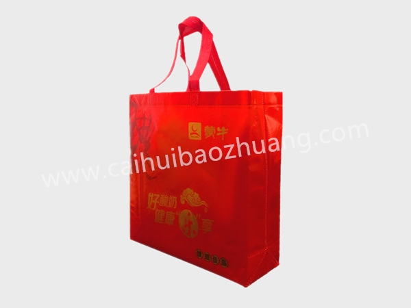 彩匯包裝   環保手提袋   禮盒手提袋包裝袋