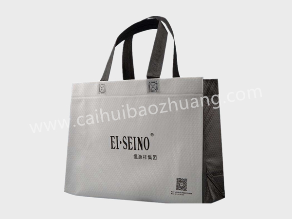 彩匯包裝 服裝手提袋  一次成型環保袋